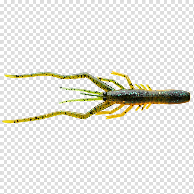 Globeride Fishing Baits & Lures Angling, shrimp transparent background PNG clipart