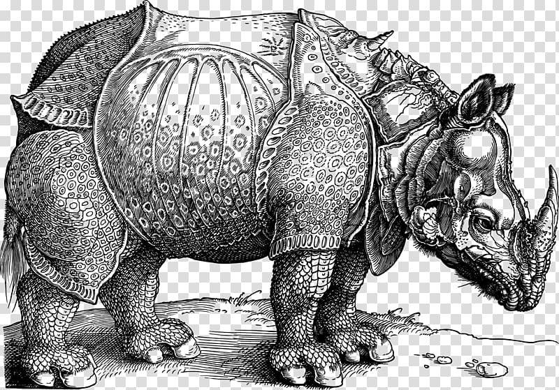 Dxfcrers Rhinoceros National Gallery of Art British Museum Printmaking, Rhino transparent background PNG clipart