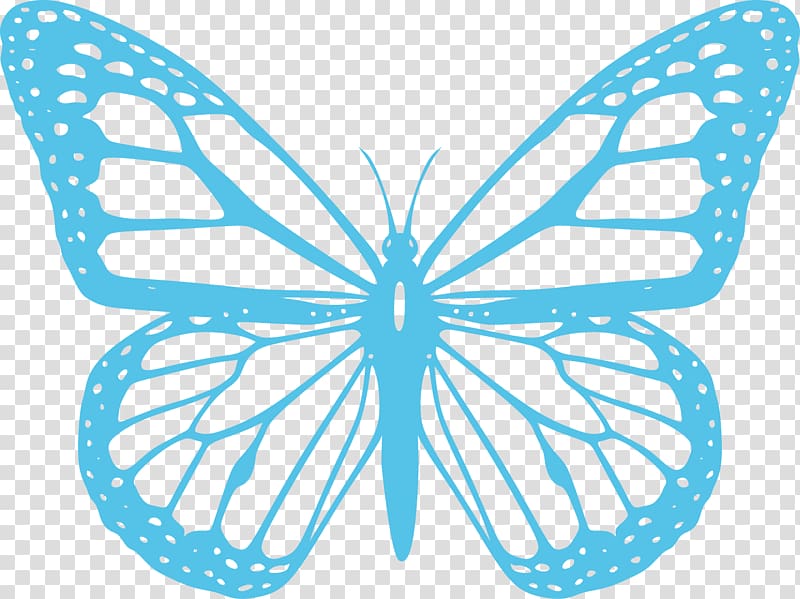 Monarch butterfly Coloring book Adult, butterfly transparent background PNG clipart