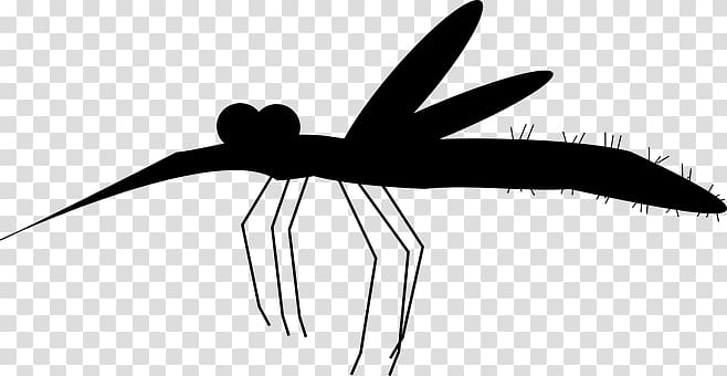 Mosquito Aedes albopictus Zika virus, mosquito transparent background PNG clipart