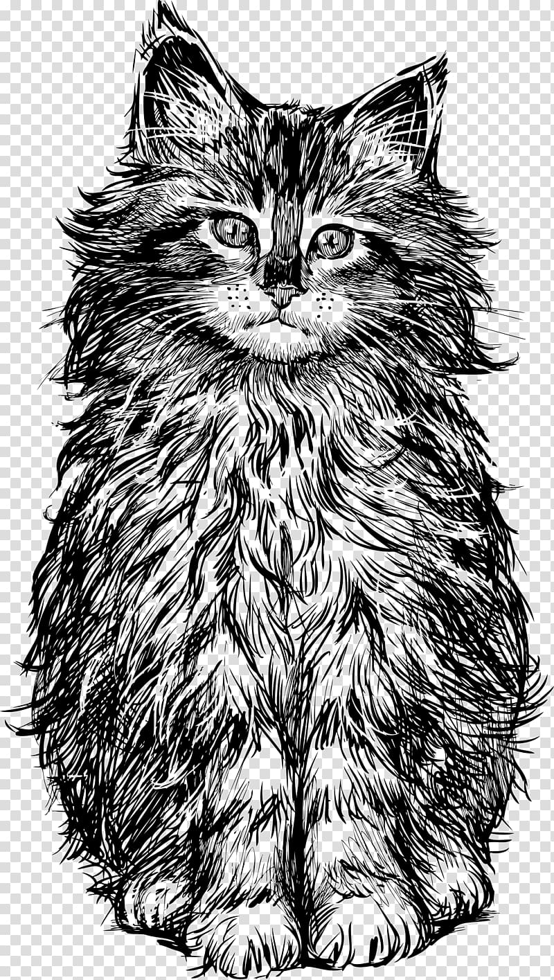 black cat , Cat Kitten Drawing, cat transparent background PNG clipart