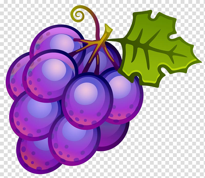 Common Grape Vine Wine Grape juice , Cartoon Grapes transparent background PNG clipart