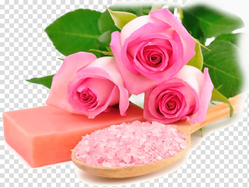 Desktop Rose Pink Spa Flower, rose transparent background PNG clipart