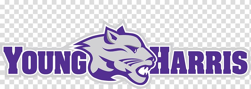 Young Harris College Mountain Lions women\'s basketball Young Harris College Mountain Lions men\'s basketball Hayesville, others transparent background PNG clipart