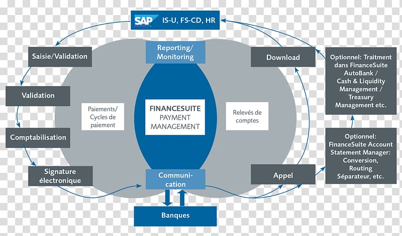 Treasury management Business process Payment, financial management transparent background PNG clipart