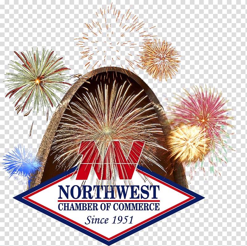 New Year Fireworks Independence Day Map, Non Profit Organization transparent background PNG clipart