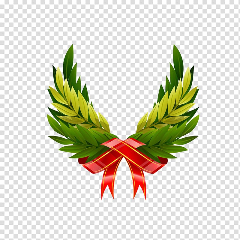 Leaf Ribbon , Pine crown transparent background PNG clipart