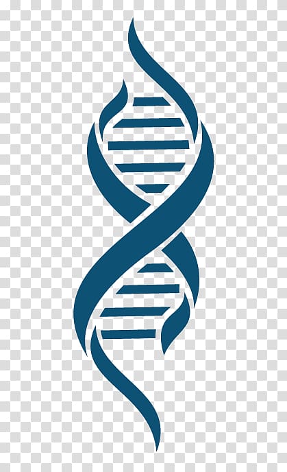 DNA transparent background PNG clipart