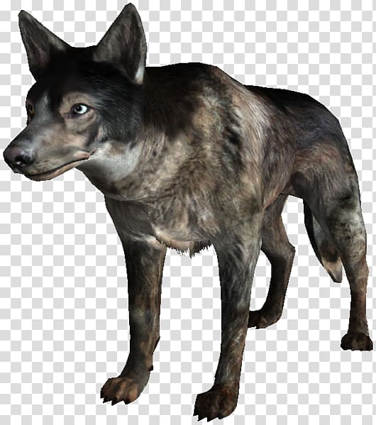 Kunming wolfdog Fallout 3 Fallout: New Vegas Saarloos wolfdog Fallout 2, others transparent background PNG clipart