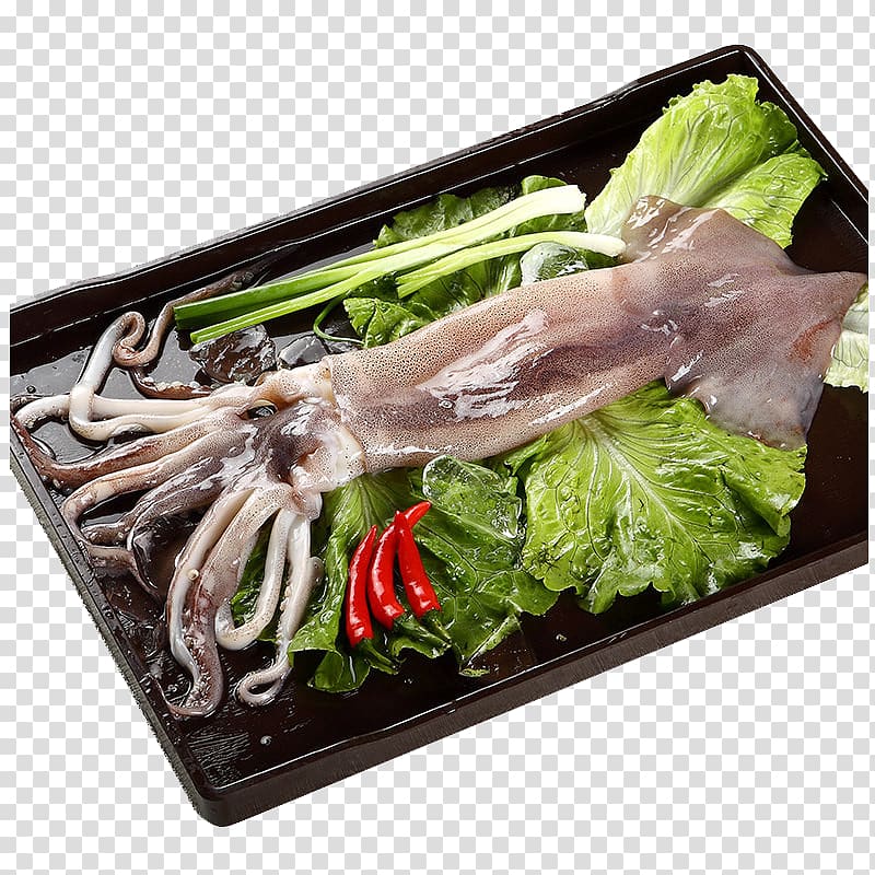 Argentina Squid , Ocean Family Argentine squid transparent background PNG clipart