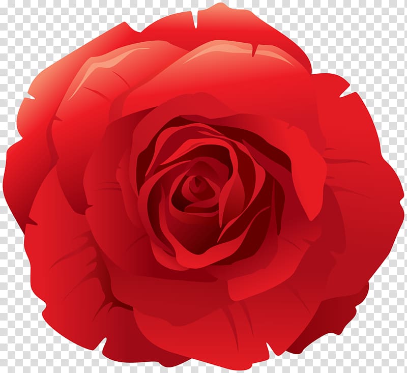 file formats Lossless compression, Red Rose Decorative transparent background PNG clipart