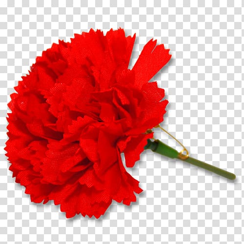 Carnation The Left Socialism International Workers\' Day Strike action, transparent background PNG clipart