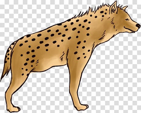 Hyena transparent background PNG clipart