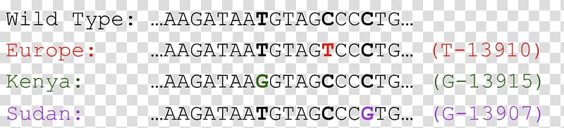 Milk Lactase Single-nucleotide polymorphism Genetics DNA, milk transparent background PNG clipart