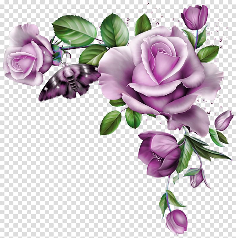 Flower Blue rose , flower transparent background PNG clipart