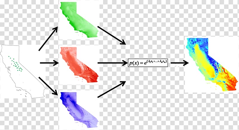 Species distribution Environmental niche modelling Ecological niche Mathematical model, model structure transparent background PNG clipart