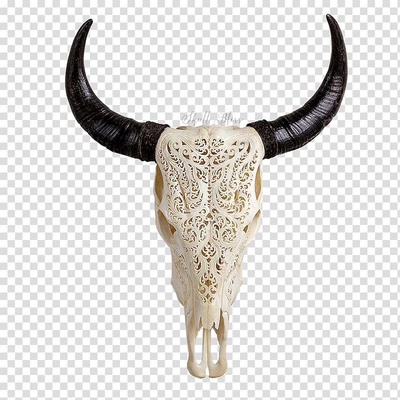 Texas Longhorn Skull Bone Bull, carved pattern transparent background PNG clipart