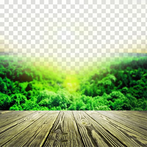 close up of brown wooden pallet board near green leafed trees at daytime, Green tea Teapot Computer file, Spring tea background transparent background PNG clipart