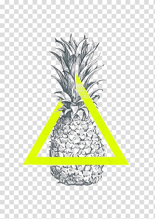 Pineapple cutter Upside-down cake Drawing, Hand-painted pineapple transparent background PNG clipart