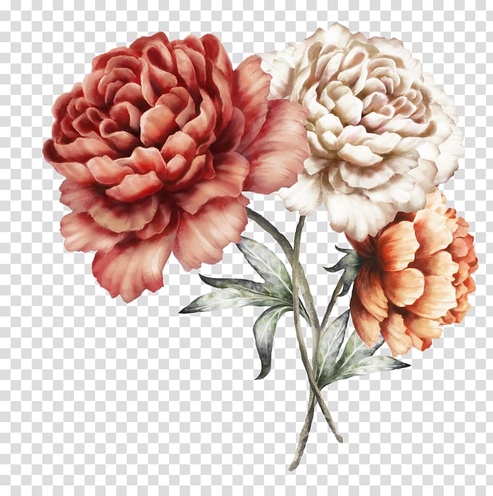 three red and gray flowers illustration, Peony Watercolor painting , peony transparent background PNG clipart