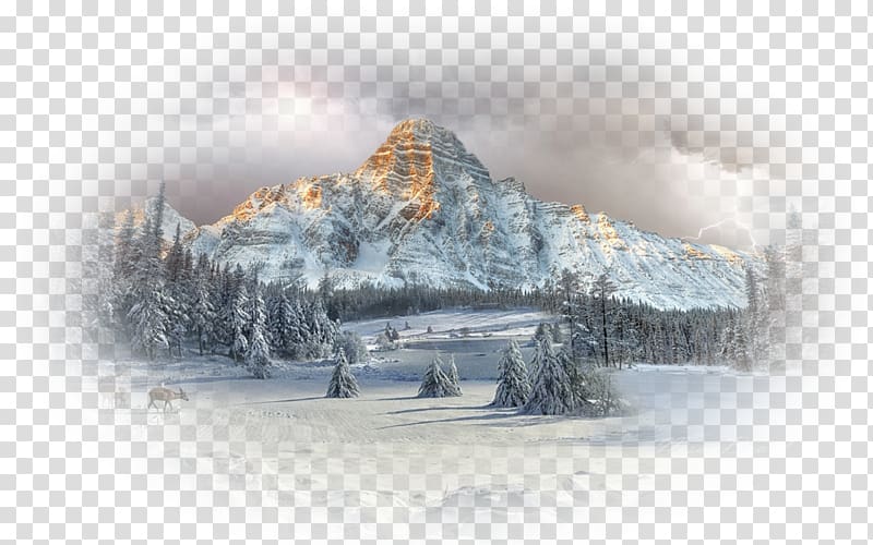 Desktop Mount Chephren Forest Winter Landscape, forest transparent background PNG clipart