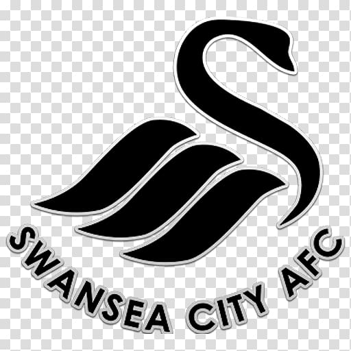 2017–18 Premier League Swansea City A.F.C. Liberty Stadium Manchester City F.C. English Football League, football transparent background PNG clipart