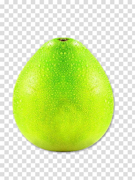 Persian lime Citron Key lime Sweet Lemon, grapefruit transparent background PNG clipart