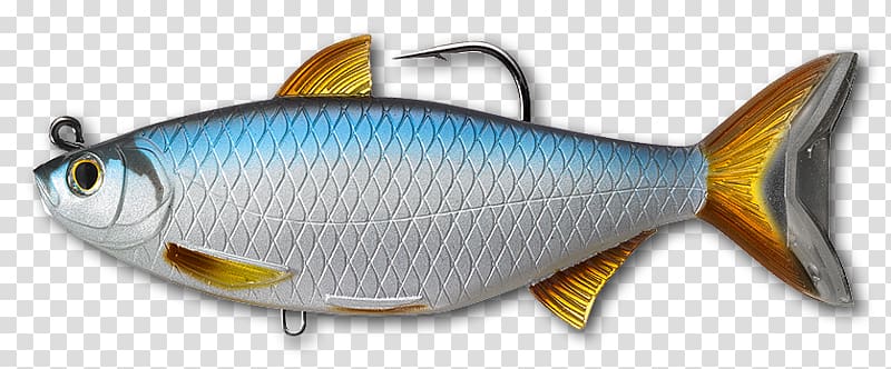 Swimbait Golden shiner Soft plastic bait Fishing Baits & Lures, Fishing transparent background PNG clipart