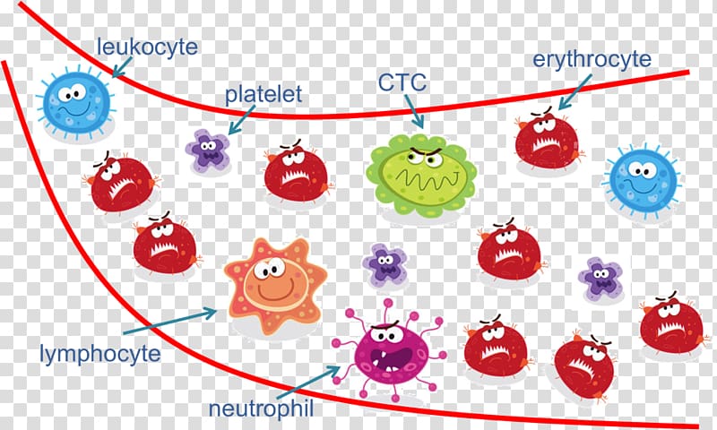 Circulating tumor cell Cancer cell Neoplasm Benign tumor, blood flow transparent background PNG clipart