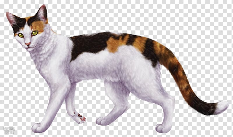 Domestic short-haired cat American Wirehair Aegean cat European shorthair Kitten, kitten transparent background PNG clipart