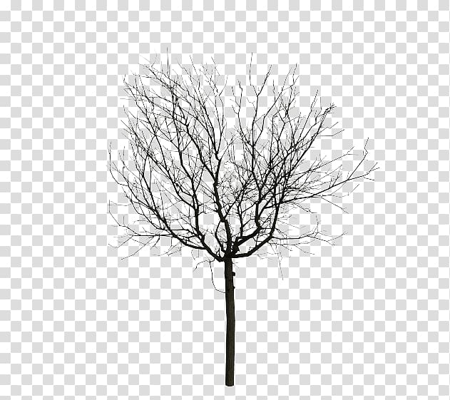 Twig Animation Computer graphics Tree, animated mangrove forest transparent background PNG clipart