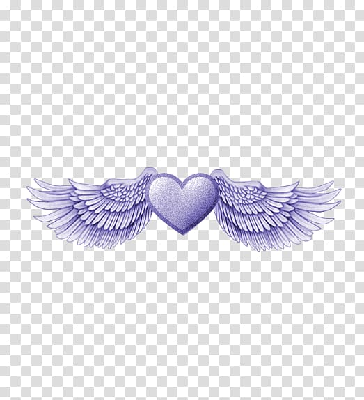 Data Angel wing , others transparent background PNG clipart