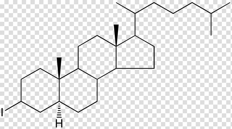 Androsterone Chemistry Androgen Steroid hormone Pheromone, others transparent background PNG clipart