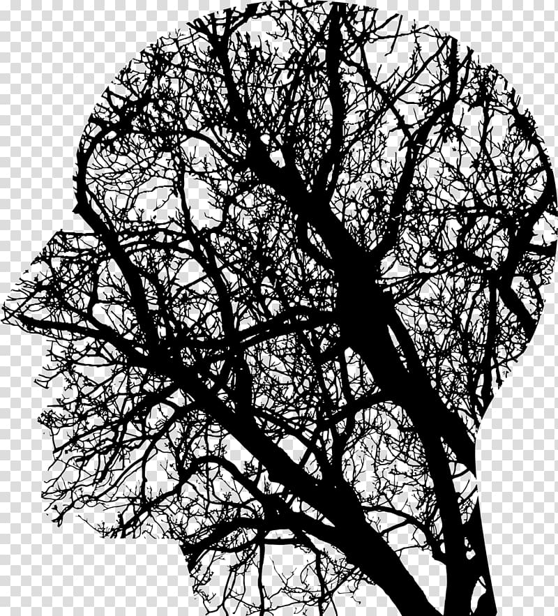 Human brain Neurofeedback Transcranial magnetic stimulation Acid gras omega-3, Brain transparent background PNG clipart