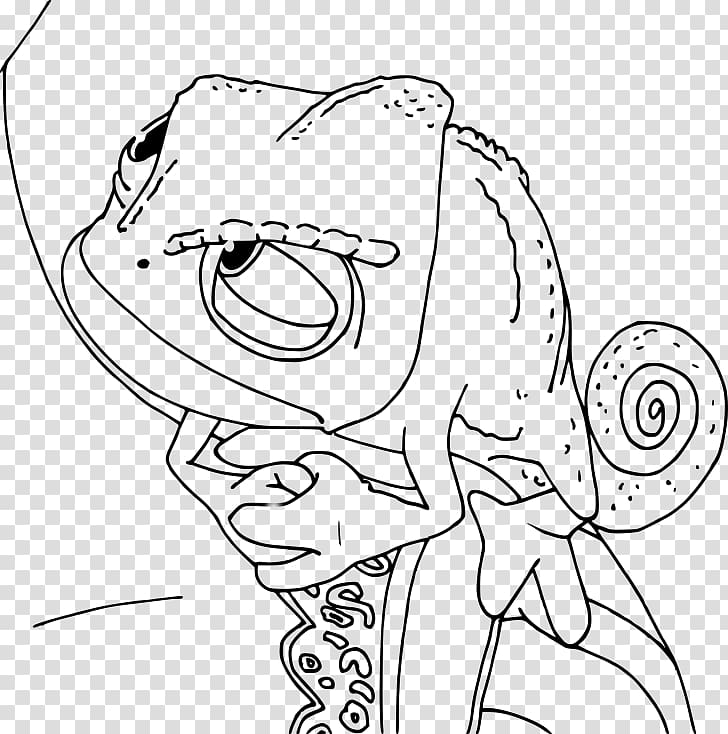 Chameleons Coloring book Rapunzel Drawing Eidechse, raiponce transparent background PNG clipart