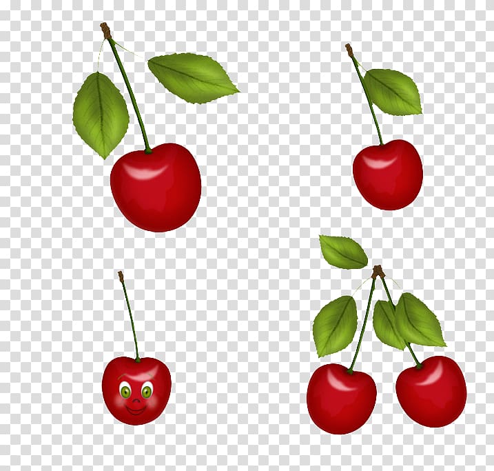 Juice Malpighia glabra Cherry Apple Auglis, Cherry Jewelry transparent background PNG clipart