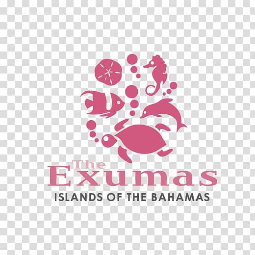 Great Exuma Island Grand Bahama Swimming Pigs? Beach, beach transparent background PNG clipart