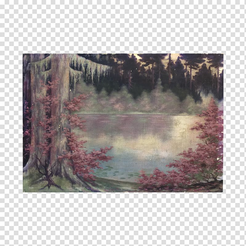 Bayou Wetland Ecosystem Painting State park, painting transparent background PNG clipart
