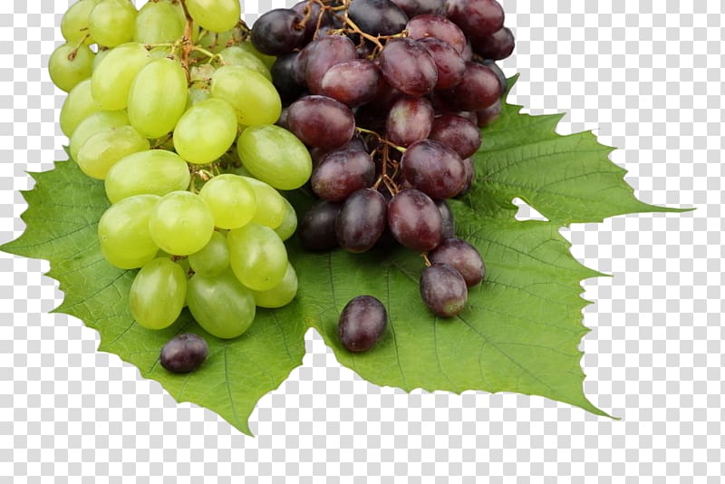 Common Grape Vine High-definition television 1080p , Purple grapes and green grapes transparent background PNG clipart