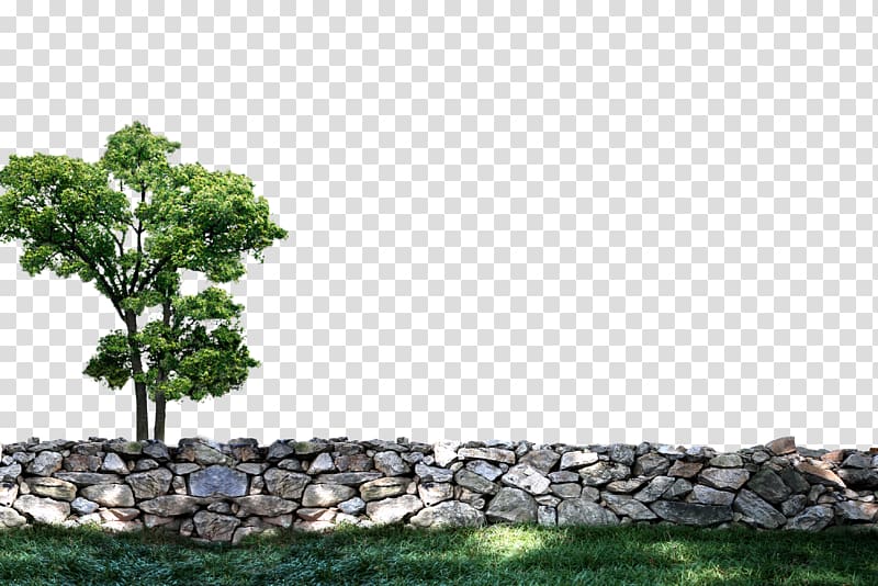 Computer file, tree transparent background PNG clipart