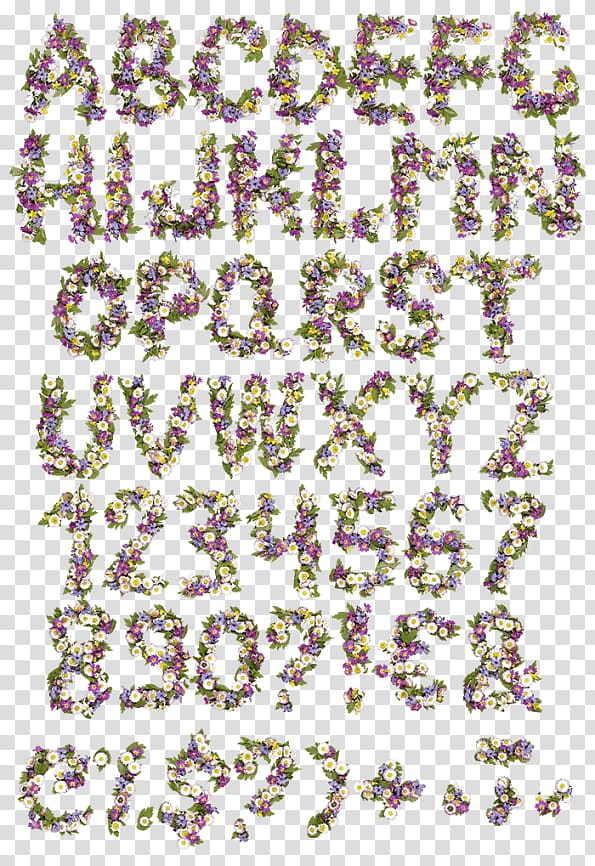 Wildflower Letter Font, spring typography，pink spring fonts transparent background PNG clipart