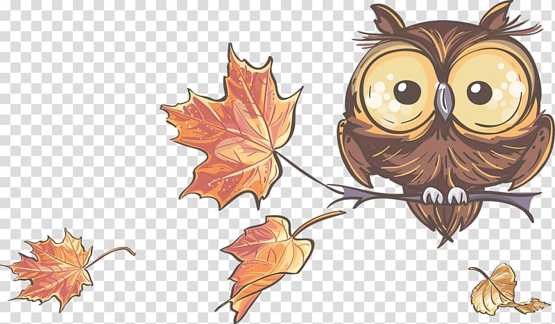 Maple leaf, Maple Leaf painted owl transparent background PNG clipart