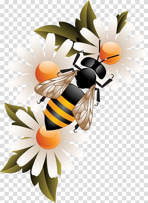 Worker bee Honey bee Honeycomb, bee transparent background PNG clipart