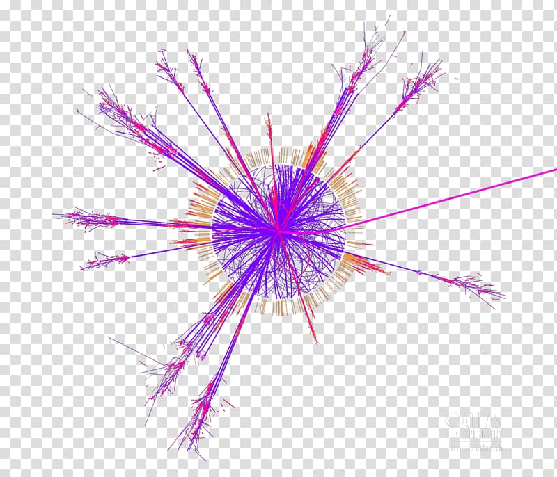 Boson CERN Elementary particle Quantum, Raly transparent background PNG clipart