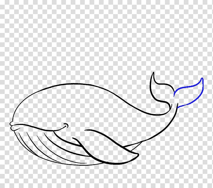 Sperm whale Drawing Blue whale Cetacea, splashing triangle transparent background PNG clipart