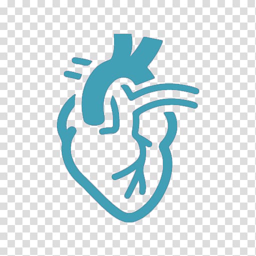 Cardiology Hospital Physician Medicine Heart, heart transparent background PNG clipart