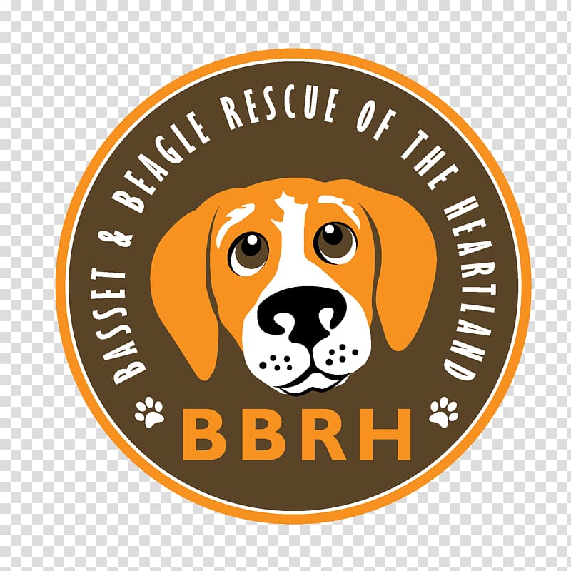 Puppy Beagle Basset Hound Soft-coated Wheaten Terrier, puppy transparent background PNG clipart