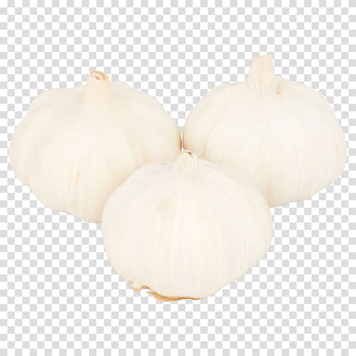 Garlic Onion, fresh garlic transparent background PNG clipart