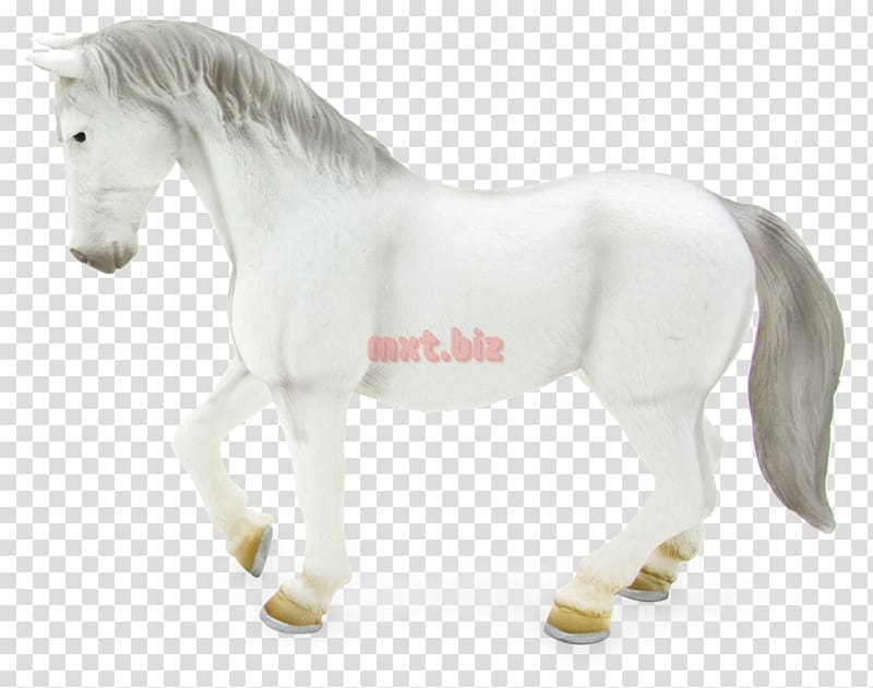 Lipizzan Pony Clydesdale horse American Quarter Horse Mane, lipizzaner transparent background PNG clipart