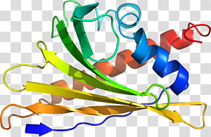 Line , design transparent background PNG clipart thumbnail